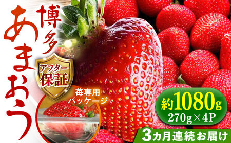 【全3回定期便】【2025年2月お届け】農家直送 朝採り 新鮮 いちご【博多あまおう】約270g×4パック《築上町》アフター 保証【株式会社H＆Futures】[ABDG006] あまおう苺 あまおうジャム あまおうショートケーキ あまおうタルト あまおうスイーツ あまおうデザート あまおうスムージー あまおういちご あまおうパフェ あまおうヨーグルト 36000円 