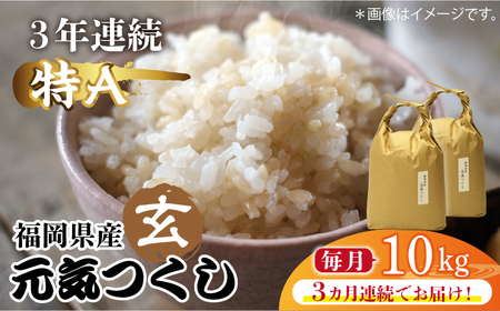 [先行予約][全3回定期便]福岡県産[特A]評価のお米「元気つくし」5kg×2袋 [10kg] [玄米][2024年11月下旬以降順次発送][築上町][株式会社ベネフィス] [ABDF118] ご飯 ごはん 米 こめ コメ おにぎり 67000円