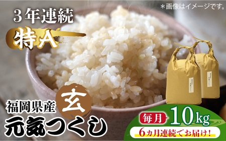 [先行予約][全6回定期便]福岡県産[特A]評価のお米「元気つくし」5kg×2袋 [10kg] [玄米][2024年11月下旬以降順次発送][築上町][株式会社ベネフィス] [ABDF119] ご飯 ごはん 米 こめ コメ おにぎり 158000円 15万8千円 13000円 1万3千