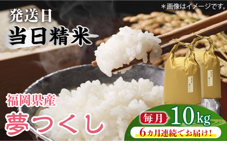 [先行予約][全6回定期便]福岡の食卓ではおなじみの人気お米「夢つくし」5kg×2袋 [10kg] [白米][2024年11月下旬以降順次発送][築上町][株式会社ベネフィス] [ABDF122] 精米 米 ご飯 ごはん こめ コメ 134000円