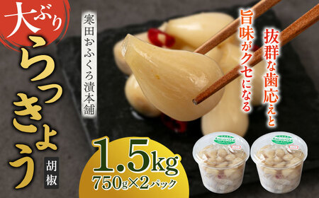 [8月発送予約]らっきょう 1.5kg(こしょう)[寒田おふくろ漬本舗] らっきょう らっきょう らっきょう らっきょう 築上町 [ABDO003]