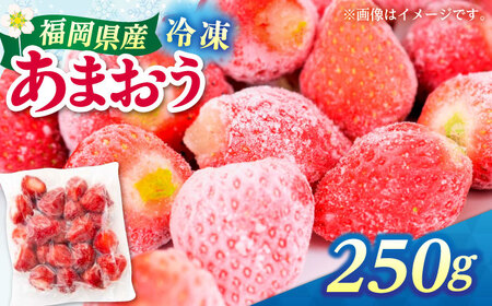 福岡県産 冷凍あまおう 250g(250g×1個)≪築上町≫[株式会社木村食品][ABEB024] いちご イチゴ 苺 果物 フルーツ[ABEB024]