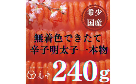[博多辛子明太子の島本]特別限定品・希少国産卵のできたて辛子明太子240g(無凍結)≪築上町≫[株式会社島本食品]めんたいこ たらこ 明太子 国内産 無着色 1本物[ABCR005]