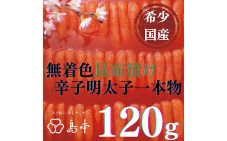 yhqq̓{z󏭍YEFzЂhqq{120 z㒬yГ{Hiz߂񂽂 炱 q Y F 1{ [ABCR026]