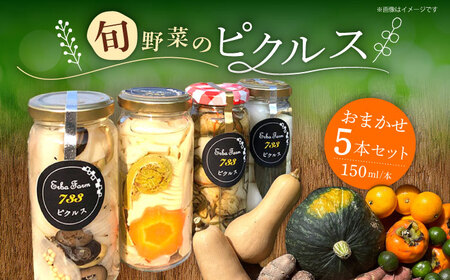 お任せピクルス5本 化粧箱入り[ERBA FARM733] [ABAP006] ピクルス ピクルス ピクルス ピクルス 築上町 [ABAP006]