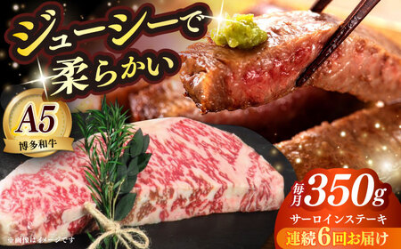 yS6ցza A5N T[CXe[L  350g×1z㒬yKRAZY MEATzXe[L T[C BBQ a  [ABEN011]