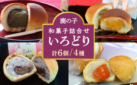 [老舗の菓子屋 鹿の子]和菓子 詰め合わせ「いろどり」4種 6個[築上町][有限会社 御菓子司 鹿の子][ABAC010]