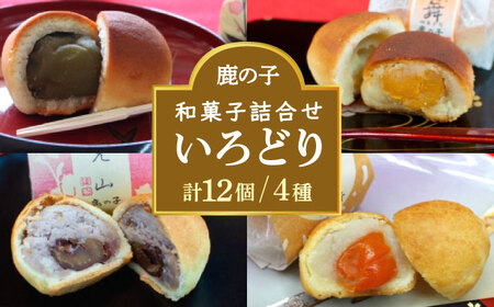 [老舗の菓子屋 鹿の子]和菓子 詰め合わせ「いろどり」4種 12個[有限会社 御菓子司 鹿の子] 和菓子セット 和菓子セット 和菓子セット 和菓子 和菓子詰め合わせ 築上町 [ABAC012]