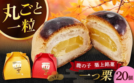 yV܂َ̉q ̎qzaَq uIv 20yL َqi ̎qz [ABAC025]