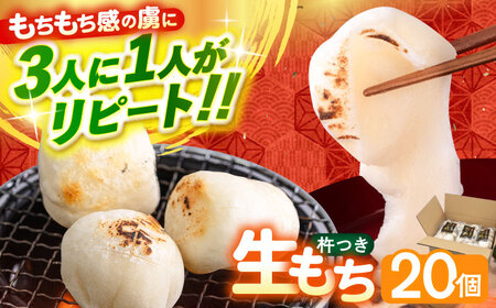  yz n  20  [ABAB007]