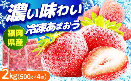 [4月以降発送]冷凍 あまおう苺 2kg (約500g×4袋) 果物 苺 いちご あまおう[ABET002]