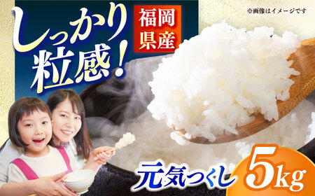 [令和7年産]果物屋さんが選んだ米 元気つくし 5kg 米 白米 お米 ブランド米[ABET010]