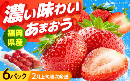 [2月上旬より発送]福岡産[春] あまおう 6パック 果物 苺 いちご[ABET012]