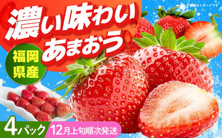 [順次発送] 福岡産[冬] あまおう 4パック 果物 苺 いちご[ABET013]