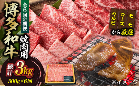 yS6ցzya̎|\Izaēp 500g  BBQ [ABBP034]
