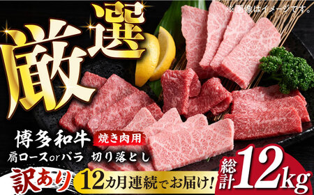 [全12回定期便][訳あり]博多和牛 焼肉 切り落とし1kg(500g×2p)[築上町][MEAT PLUS]肉 お肉 牛肉 [ABBP156] 240000円 24万円