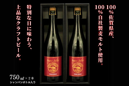 佐賀のクラフトビール〈サガン・サリュート〉ストロングバーレー 2本組：B245-005