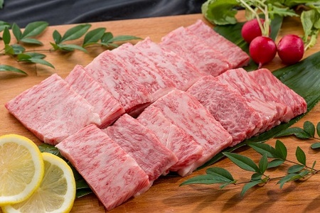 佐賀牛ロース 焼肉用 500g:B365-003