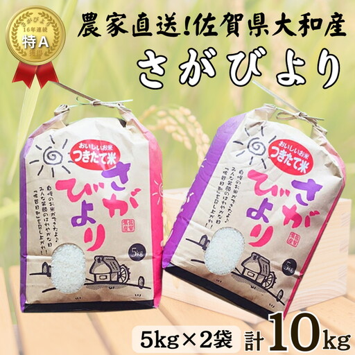佐賀県大和産「さがびより」5kg×2袋 米 農家直送：B320-017