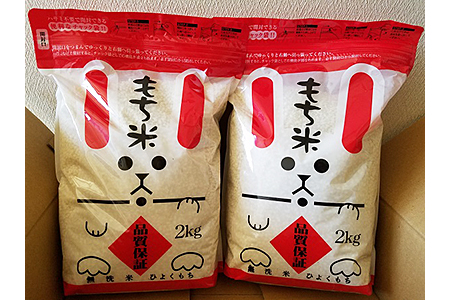 令和5年佐賀県産 ひよくもち 無洗米（2kg×2）：A009-074