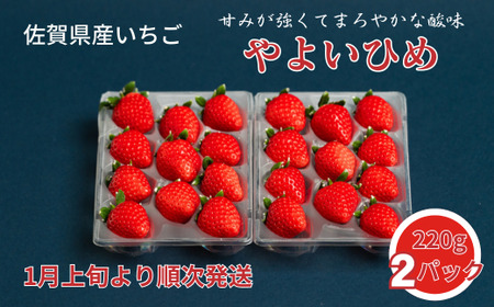 ꌧY 悢Ђ߁FB100-038