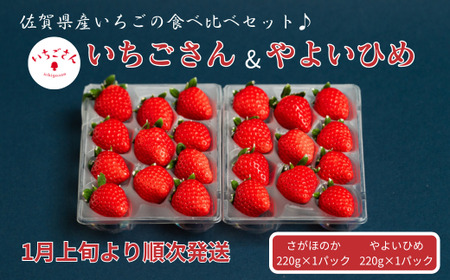 佐賀県産いちご いちごさん&やよいひめセット:B100-041