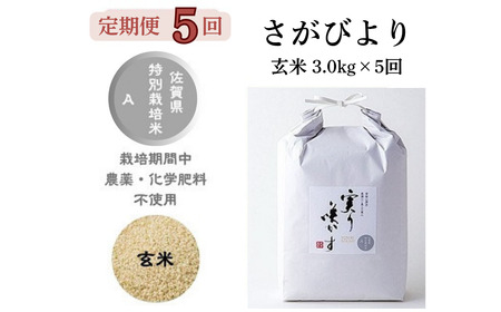 y5zu炩v_Ew엿sgpwтx3kgiv15kgjFB690-016