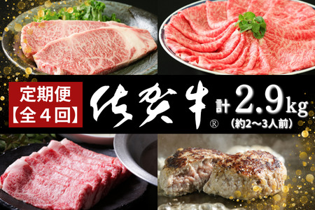 [定期便4回]佐賀牛セット 2.9kg(約2〜3人前) 佐賀県 佐賀市 佐賀牛ロースすき焼き用 しゃぶしゃぶ用 佐賀牛サーロインステーキ 佐賀牛佐賀産豚ハンバーグ:B985-003