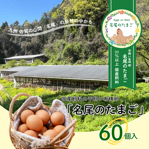 国産飼料の平飼い有精卵「名尾のたまご」60個入 たまご 卵 玉子 タマゴ 生卵 新鮮：B240-031