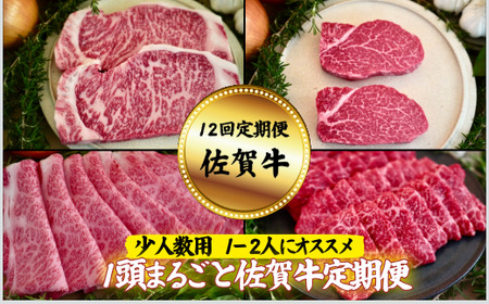 y12zylpz1܂邲ƍꋍցFC172-008