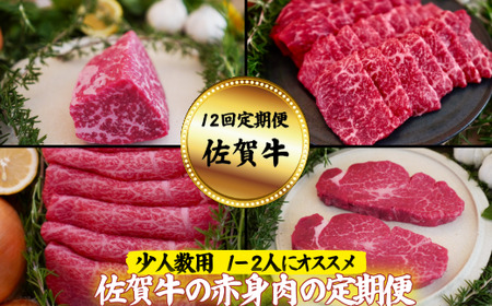 y12zylpzꋍ̐Ԑg̒ցFC194-002