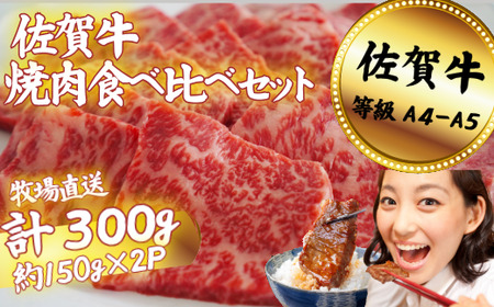 ꋍ ēHה׃Zbg 300gFB120-064