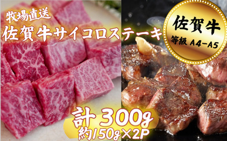佐賀牛 サイコロステーキ 300g:B120-061