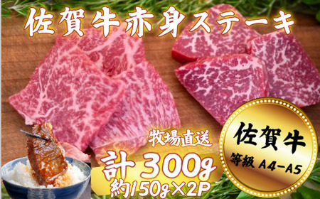 ꋍ ԐgXe[L 300gFB120-059