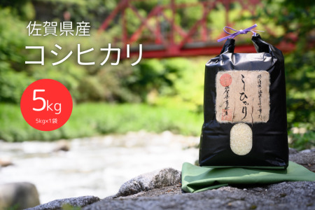 令和6年産 佐賀県富士町産 コシヒカリ白米(5kg×1袋)高品質なお米 精米 :B165-006