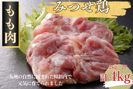 ݂{  4kgi2kg×2Pj uh{ RN̂镗Ǝ|  { Ƃ {FB310-002