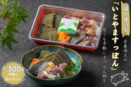 [切り身のみ]栄養満点の「いとやますっぽん」ですっぽん鍋を 300g 佐賀県産 スッポン 冷凍 鍋 カット済み 国産 簡単調理 美容 健康 コラーゲン 九州 佐賀県 佐賀市 ヤマト水産:B205-011