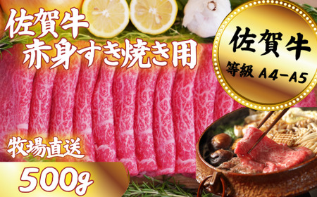 ꋍ Ԑg ₫p 500gFB130-051