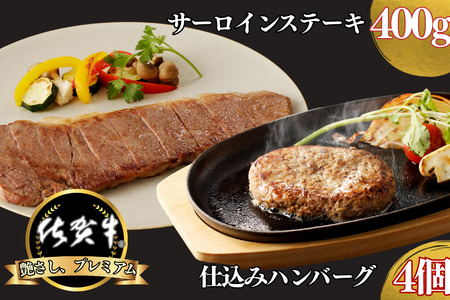 ꋍT[CXe[L 400gEꋍd݃no[O 4 ZbgFB235-020