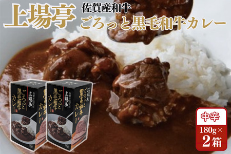 ごろっと黒毛和牛カレー 佐賀牛 カレー ビーフカレー レトルト 湯煎 レンジ調理 簡単 :A080-011