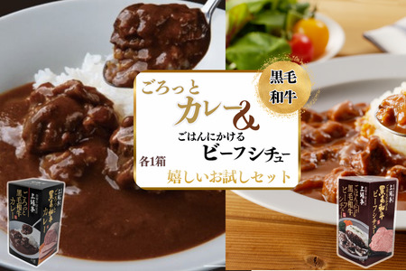 ごろっとカレー・ビーフシチューセット 佐賀牛 カレー ビーフシチュー レトルト 湯煎 レンジ調理 簡単 :A080-012