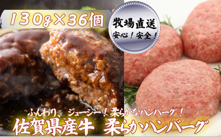 yq꒼zY_炩no[O 36FB500-013