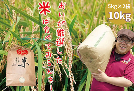 yVāzߘa7NY@sOYuRVqJv10kgi5kg×2܁jFB335-020