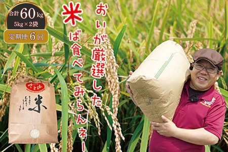 �y�����6��z�O�����Y�u�R�V�q�J���v5kg×2�� ���� ���āFC195-007