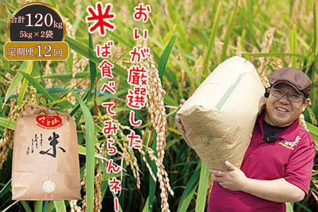 y12zOYuRVqJv5kg×2    FC389-004