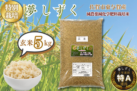 �y�V�āz�ߘa7�N�Y ���ʍ͔| �������� ���� 5kg ����s ���^�꒬�Y�FB175-019