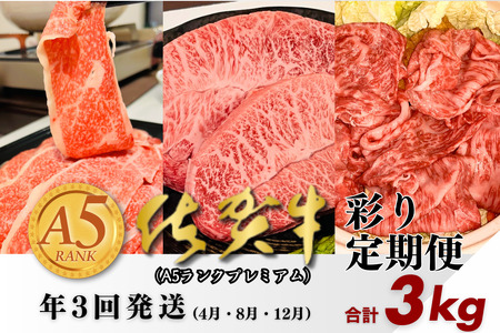 [定期便3回]佐賀牛(プレミアム)彩り定期便 すき焼き しゃぶしゃぶ ステーキ 焼肉 赤身 切り落とし 合計3kg:B875-001