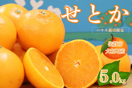 [1月中旬〜2月下旬発送]佐賀市大和町産みかん「せとか」:B150-077