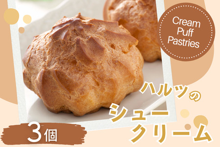ハルツのシュークリーム 3個:A070-003