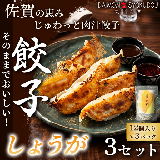 [1個28gで満足度大!]大門餃子 しょうが(12個入×3P) 3セット:B330-012